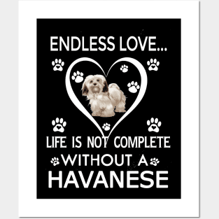 Havanese Lovers Posters and Art